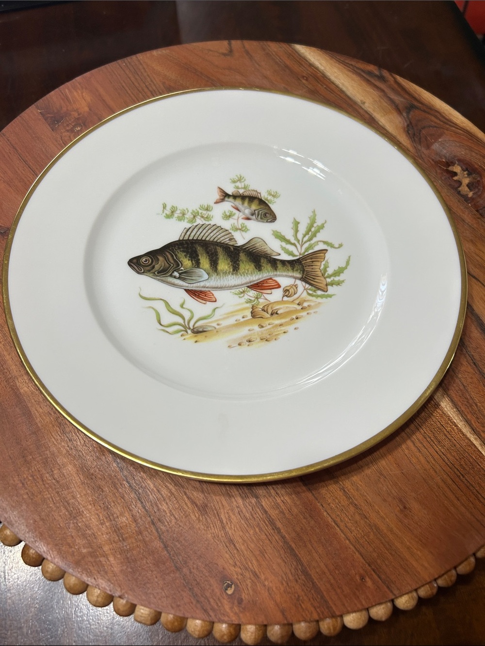 MCM 1954 Rosenthal Germany Selb-Plossberg Aida Porcelain Fish Dinner Plate